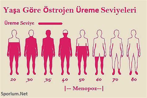 erkeklerde kadınlık hormonu fazlalığı belirtileri